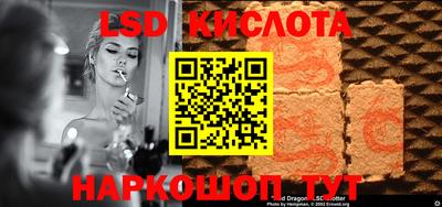spice Заволжье