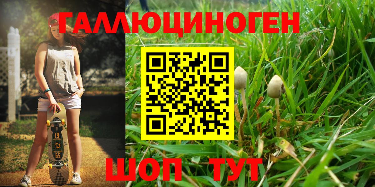 Псилоцибиновые грибы прущие грибы  Вход с VPN  где можно купить   Мирный 
